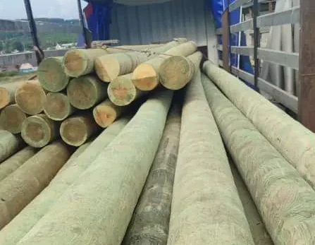 картинка предпросмотра для статьи Деревянные опоры ЛЭП. Достоинства